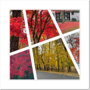 Fall Foliage Collage Posters and Art